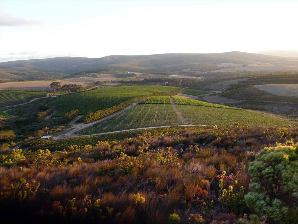 africa-de-sud-hermanus-peisaj